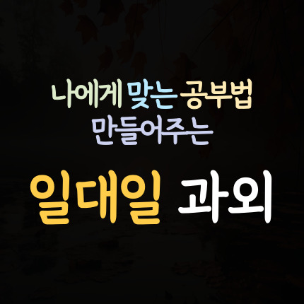  김천부곡동 수학과외 김천평화동 영어과외 초등 중등 고등 일대일 국어 과학과외 중학생 고등학생 내신 수능