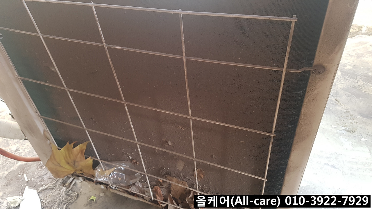 강쉐프 이미지