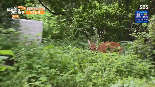 순간포착 세상에 이런일이.E1237.230716p-NEXT.mp4_20230716_174149.986.jpg