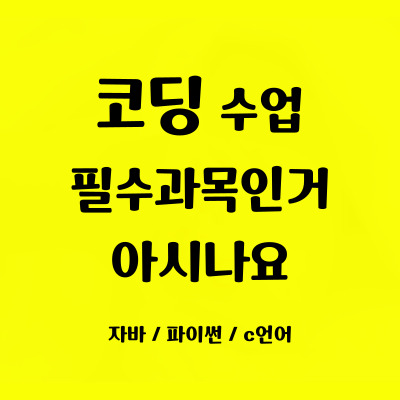  군내 자바스크립트 코딩학원 소흘읍 파이썬 코딩과외 일대일 초등중등필수과목 일대일 코딩 사고력