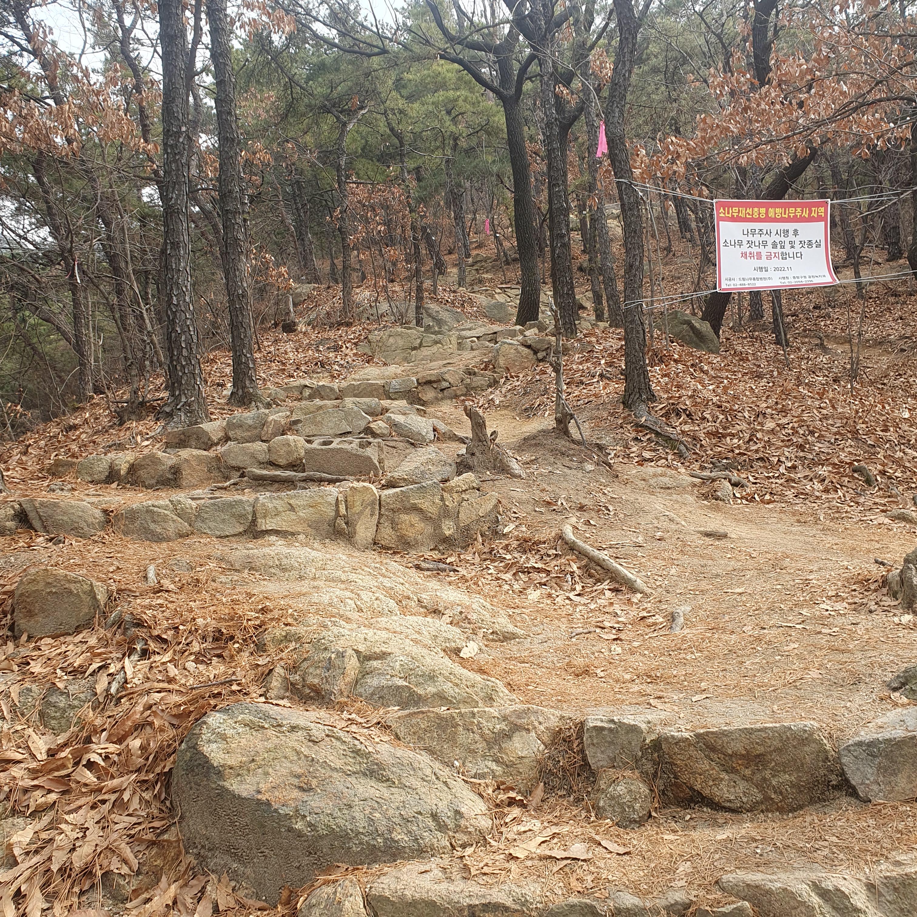 아들과함께 용마봉 등산 3