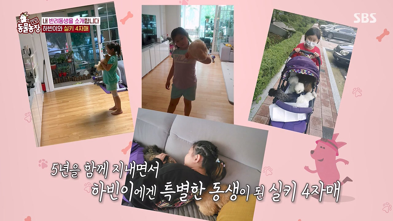 TV 동물농장.E1175.240610p-NEXT.mp4_20240609_160247.757.jpg