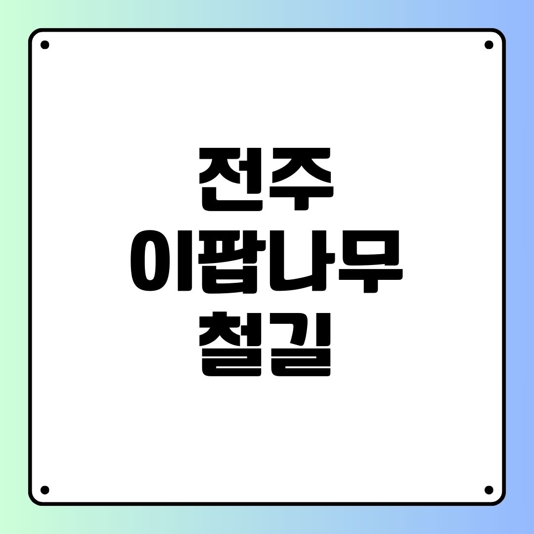 전주 이팝나무 철길
