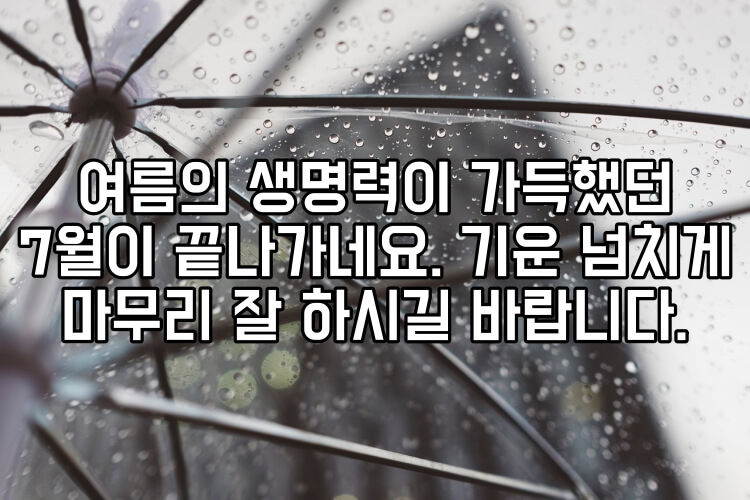 7월달 마지막날 인사말 문구 문자 이미지 모음
