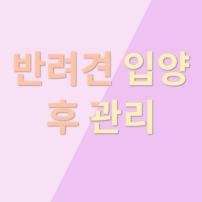 반려견 입양_3