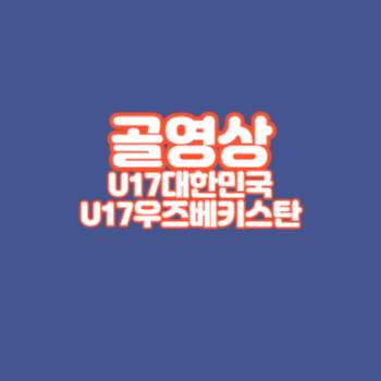 U17골영상