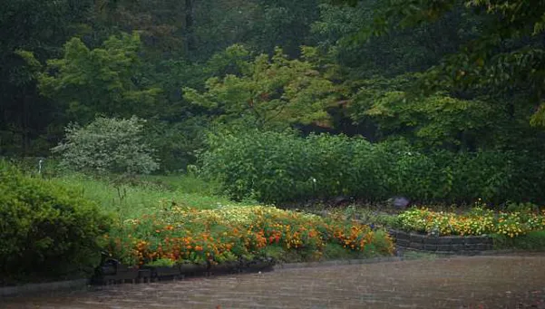 황학산수목원