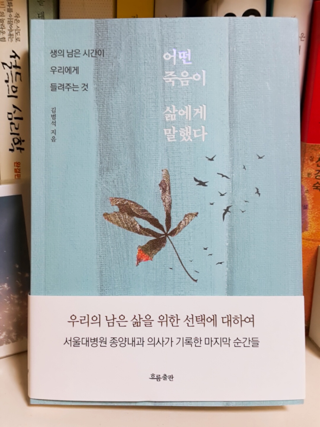  어떤 죽음이 삶에게 말했다 - 김범석