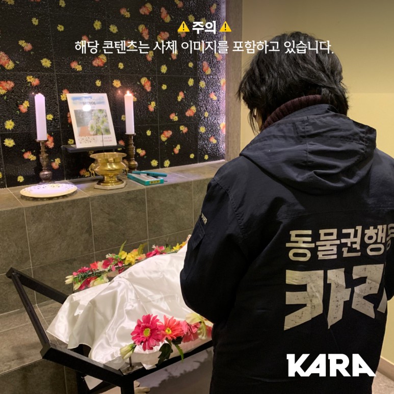 삶 [울진 산불 동물구호] 한국 5