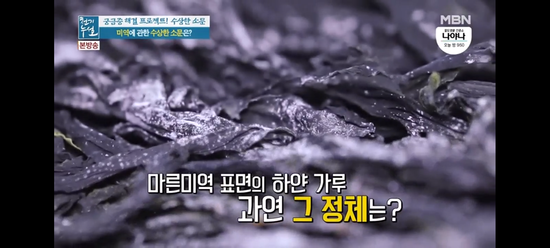  미역 하얀 가루 정체는 무엇일까요??(천기누설)