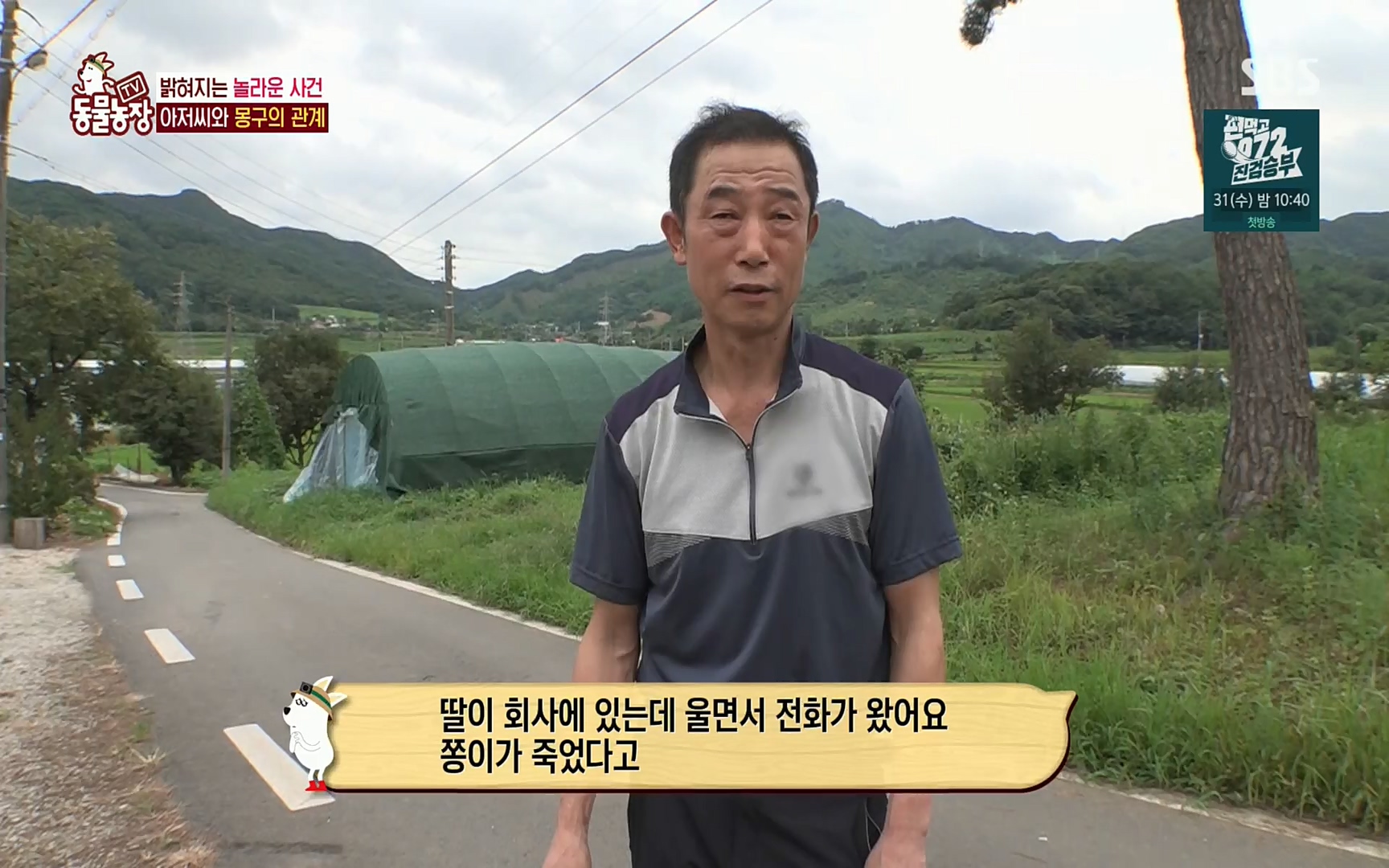 TV 동물농장.E1084.220828p.H264-F1RST.mp4_20220828_154056.993.jpg