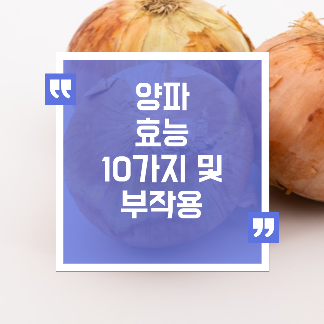  양파효능 10가지 및 양파 부작용  및 주의사항