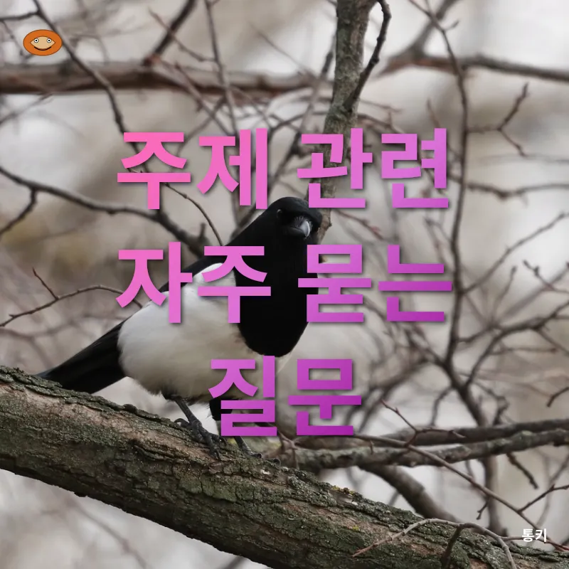 사십대의 성찰과 변화_4