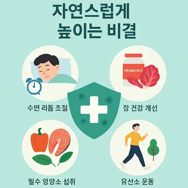 자연스럽게 높이는 면역력 비결