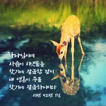 시편 145장 18절 읽기 - 여호와께서는 자기에게 간구하는 모든 자 곧 진실하게 간구하는 모든 자에게 가까이 하시는도다_26