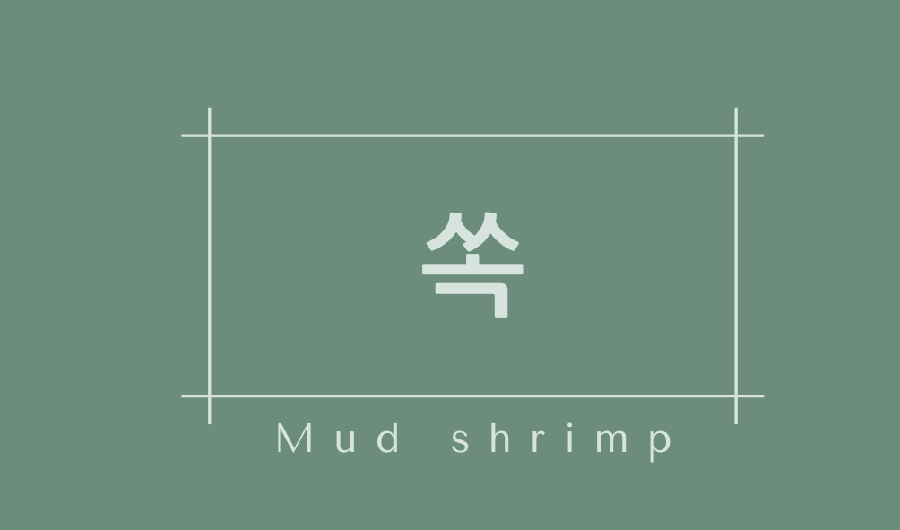 쏙(Mud shrimp)