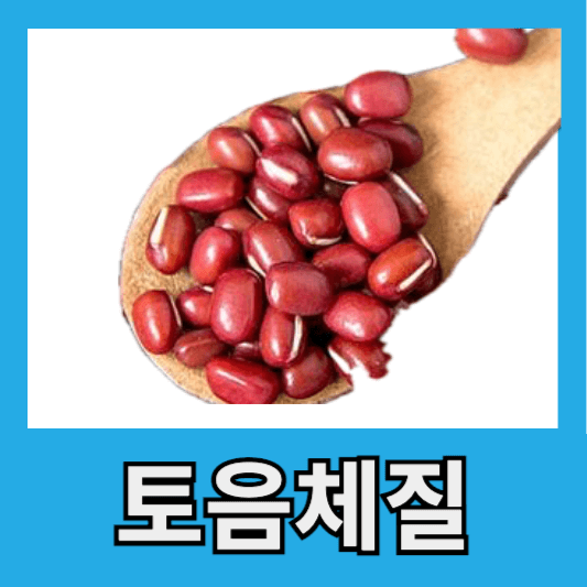 토음체질