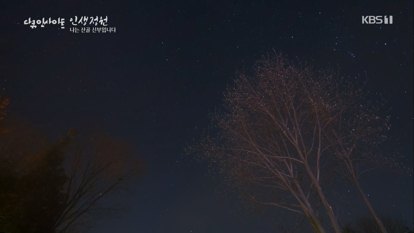 다큐 인사이트.E153.230608p.H264-F1RST.mp4_20230612_204037.256.jpg