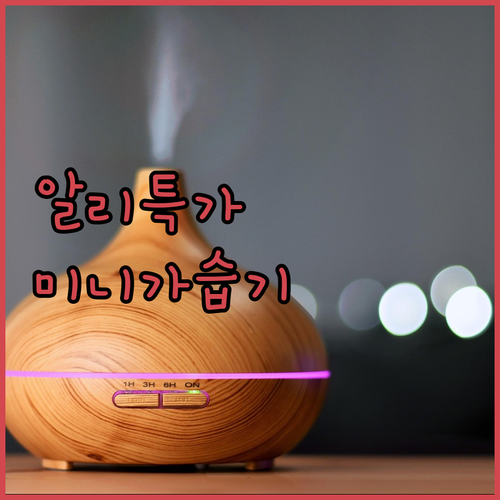알리 특가 각도 조절 미니 가습기 솔