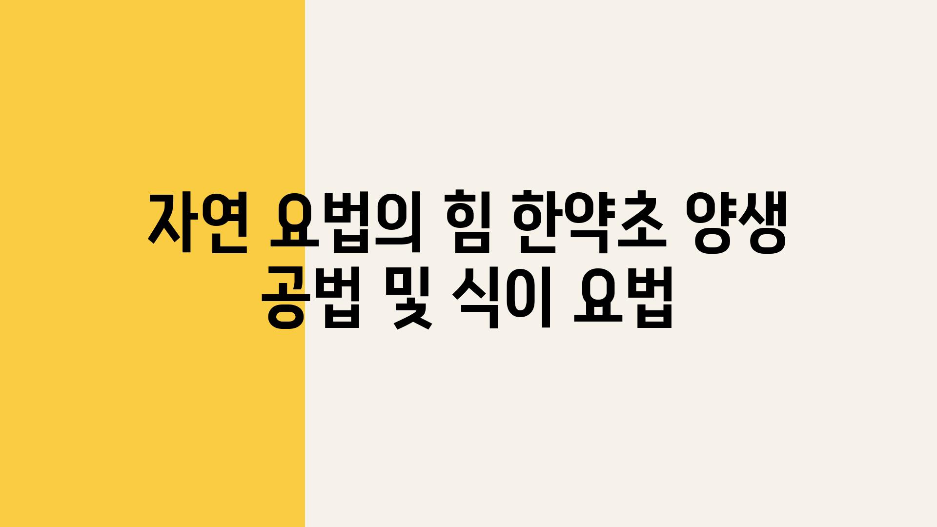 자연 요법의 힘 한약초 양생 공법 및 식이 요법