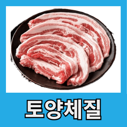 토양체질