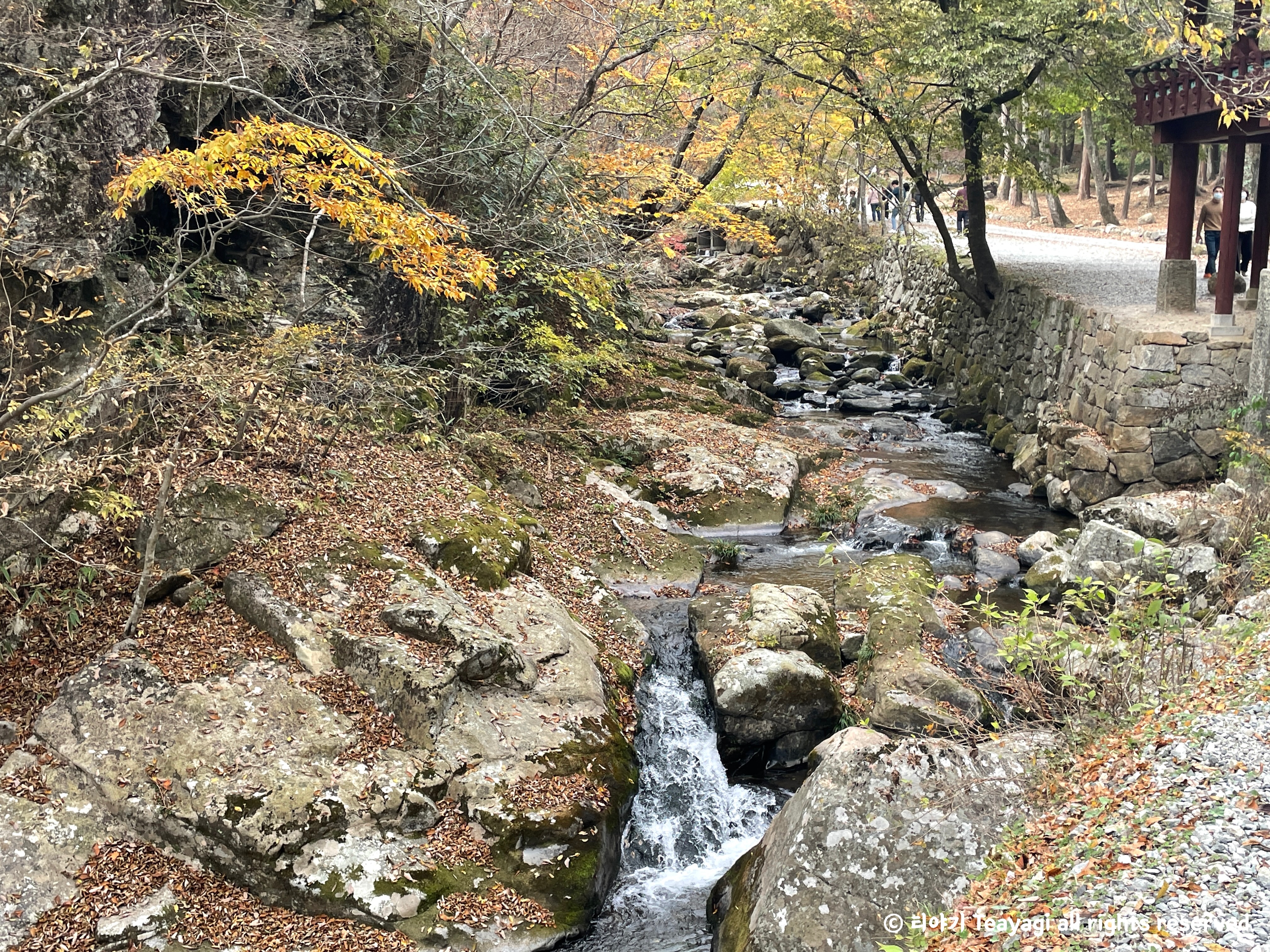 전라남도-순천의-가을단풍명소-선암사-산책로