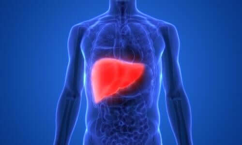  커피가 이렇게 좋은 줄!...만성 간질환에도 효과..사망률 49% 낮춰 줘 Drinking coffee may cut risk of chronic liver disease, study suggests