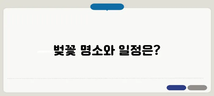 도쿄 벚꽃축제 일정 & 벚꽃 명소 베스트 5