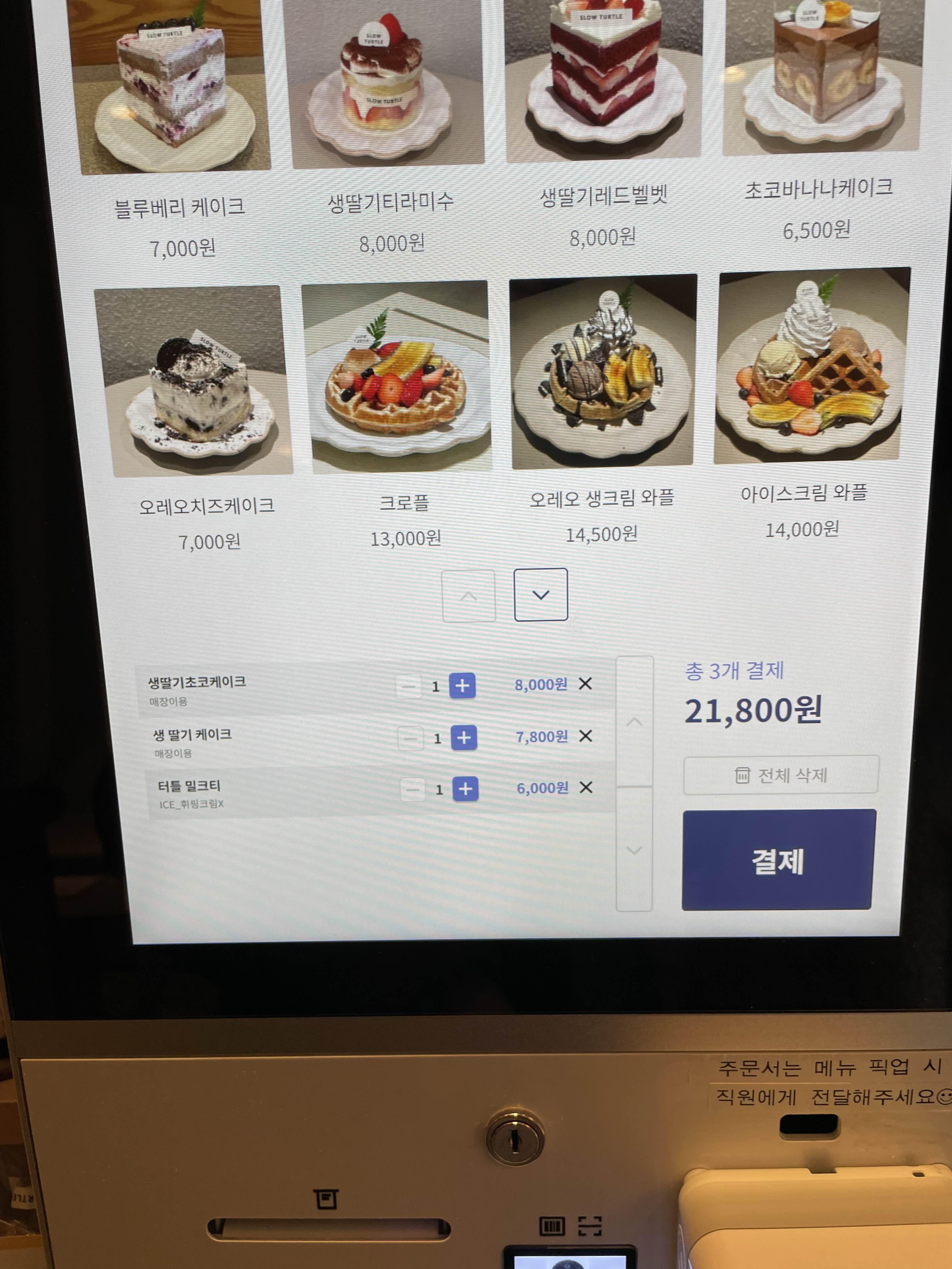 슬로우터틀 이미지