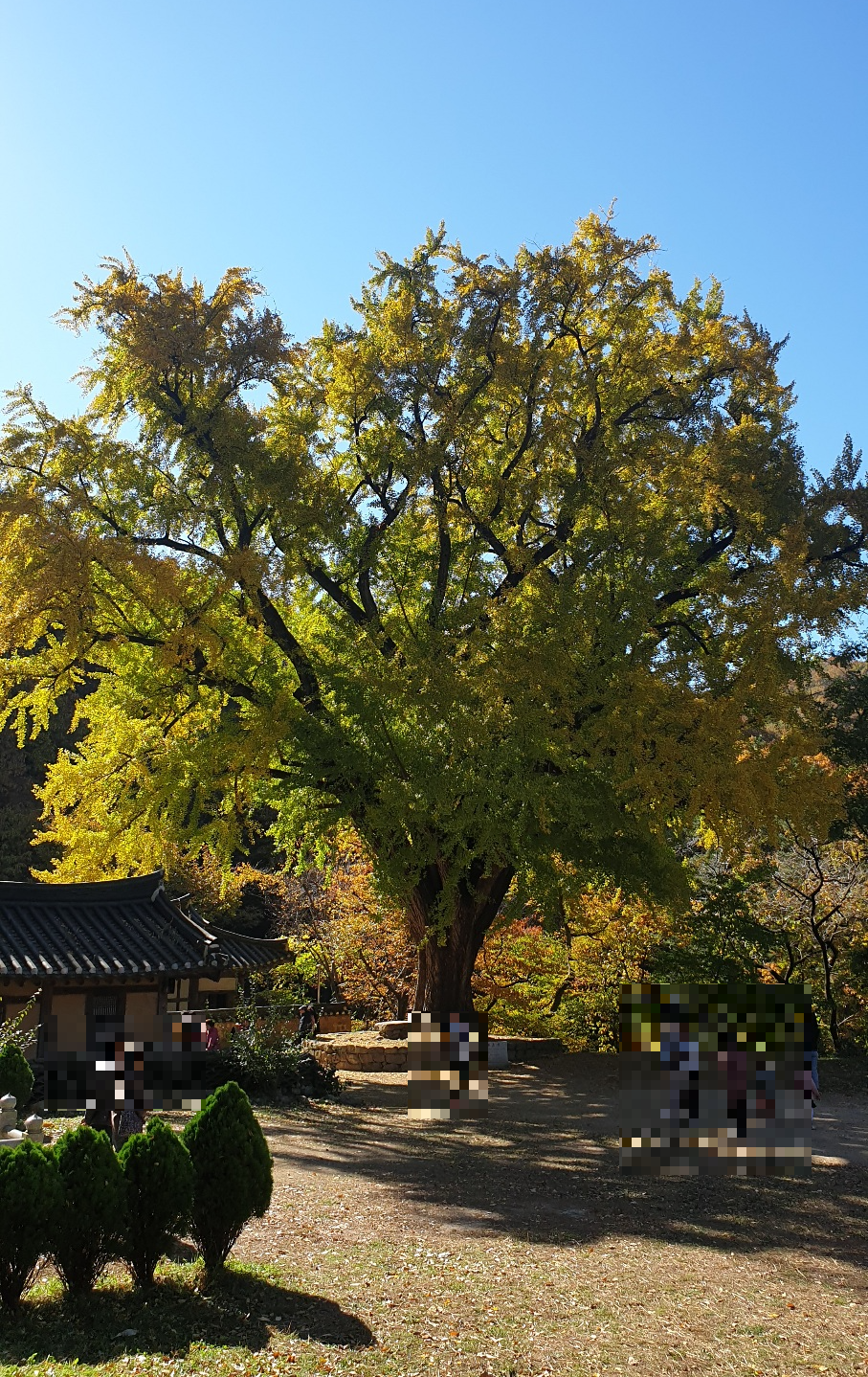 경주 운곡서원