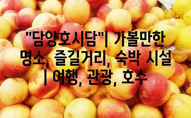 랜덤113