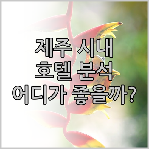 제주 시내 호텔 완벽 분석 라마다 제