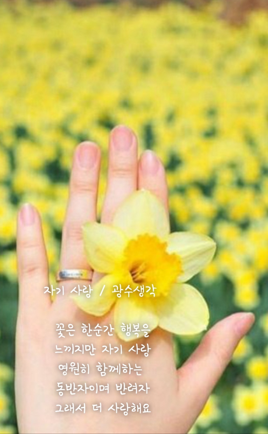 물망초 이미지