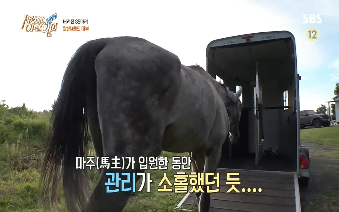 순간포착 세상에 이런일이.E1198.220920.H265p-BULDU.mp4_20220921_201127.001.jpg
