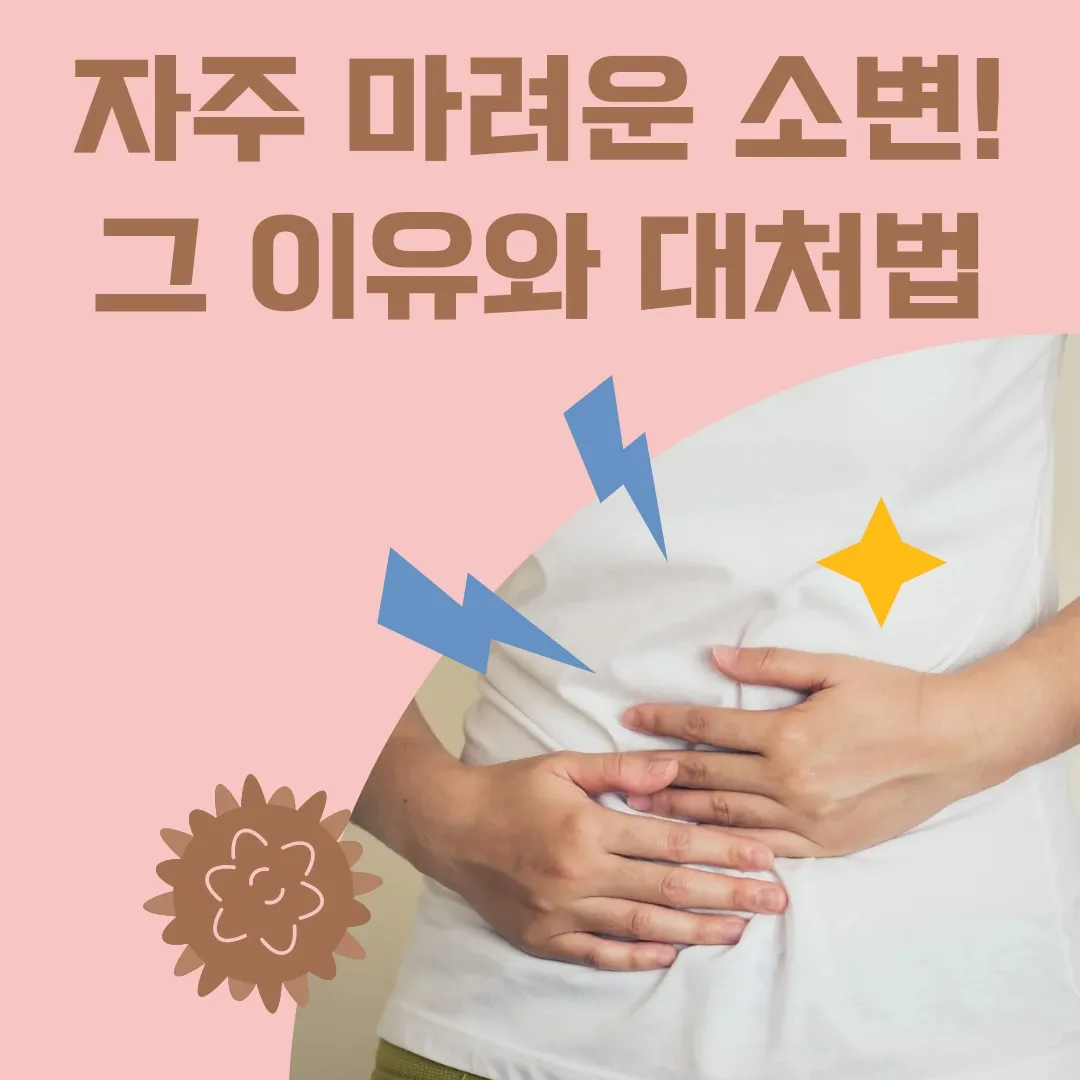  자주 마려운 소변! 그 이유와 대처법