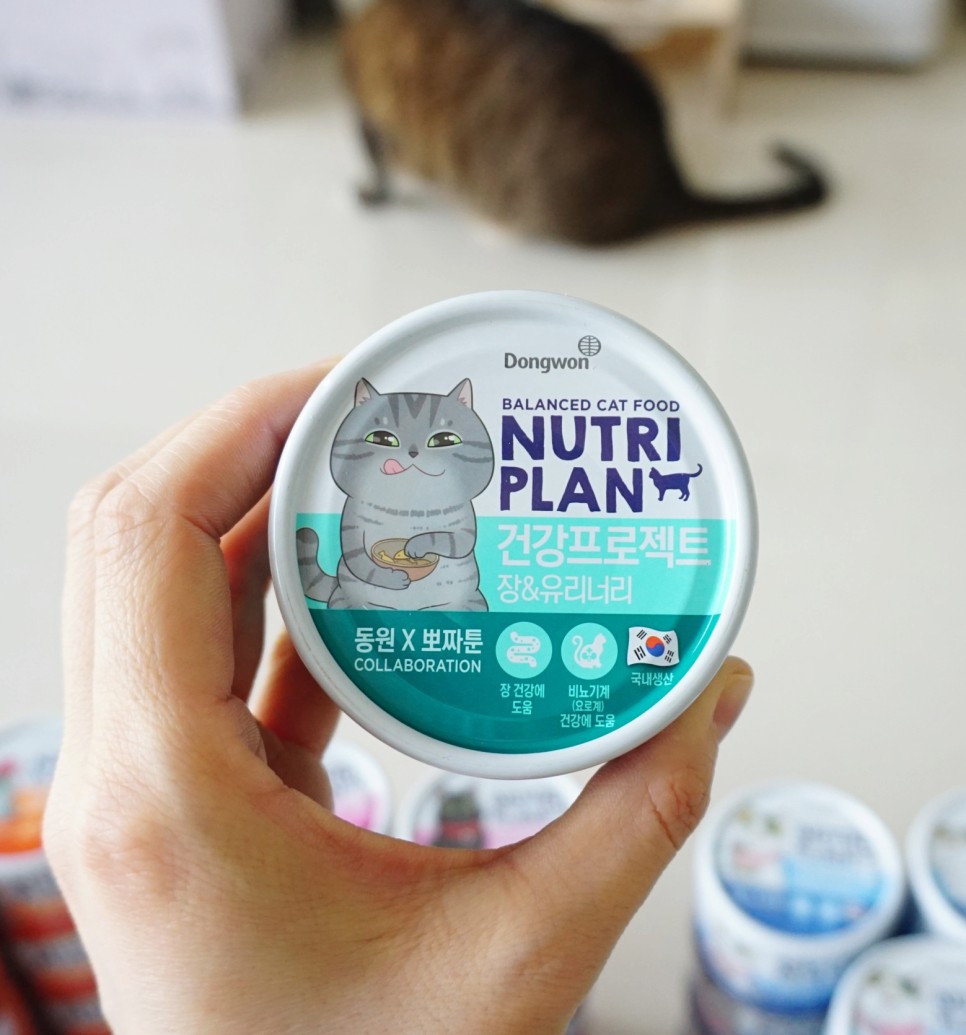 구냥이 고양이캔으로 네 건강관리해요 23