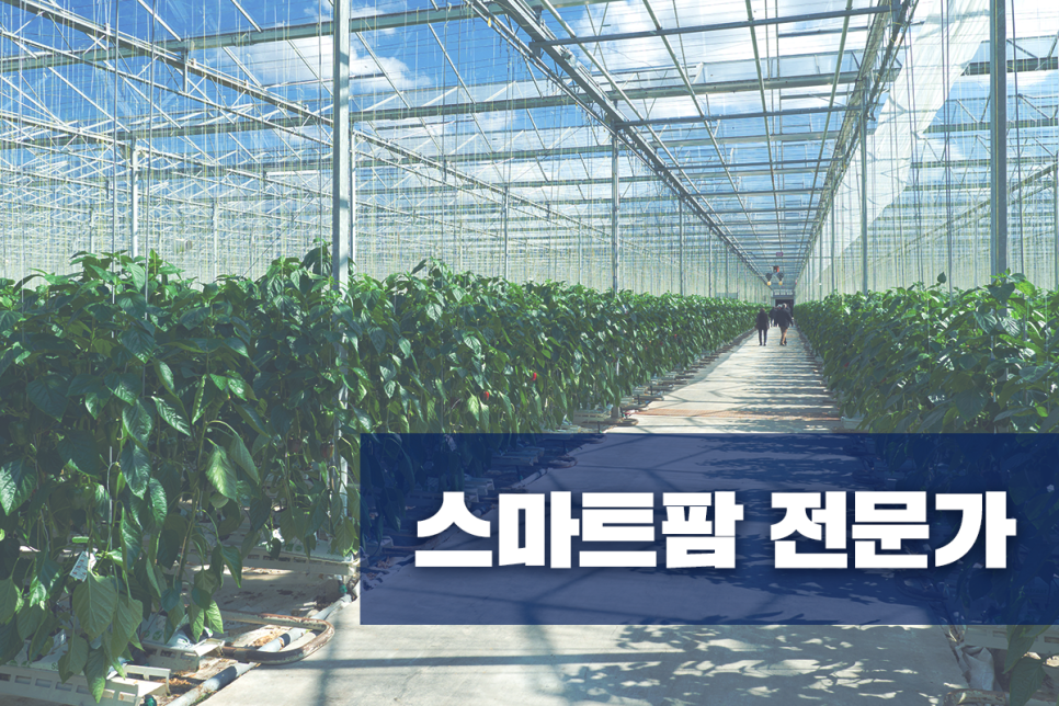 미래에 사라질 직업 vs 일어날 직업 순위! AI의 능력은 얼마나 될까! 7