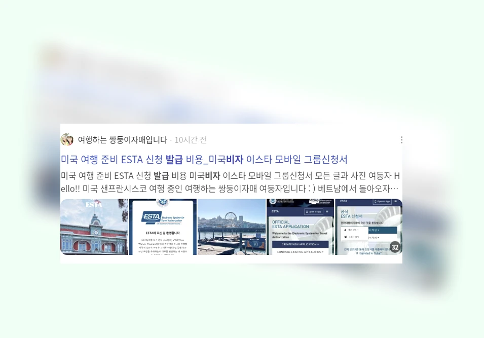 비자 발급_2_subsection