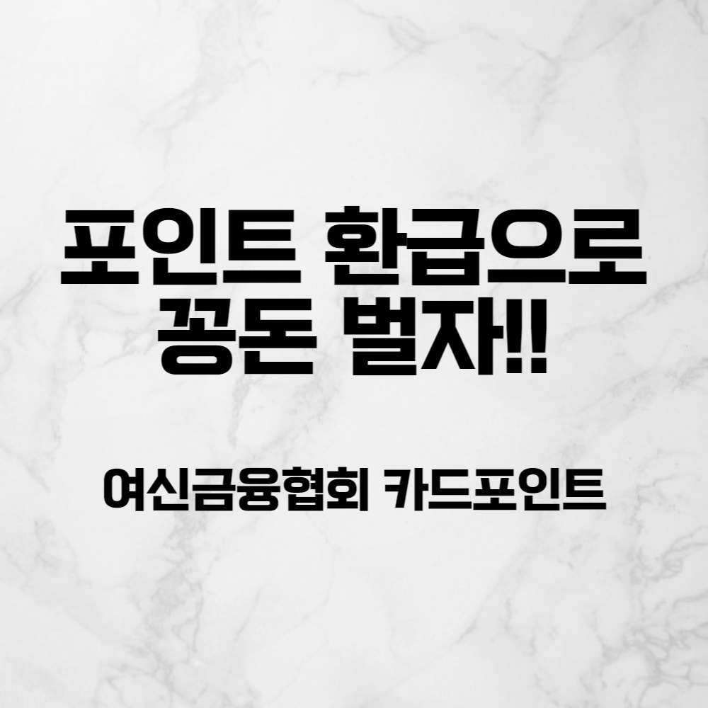  흩어져 있는 포인트를 현금으로 환급 받자! (여신금융협회 카드포인트)