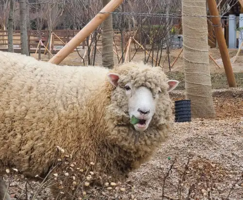 해운대수목원-양