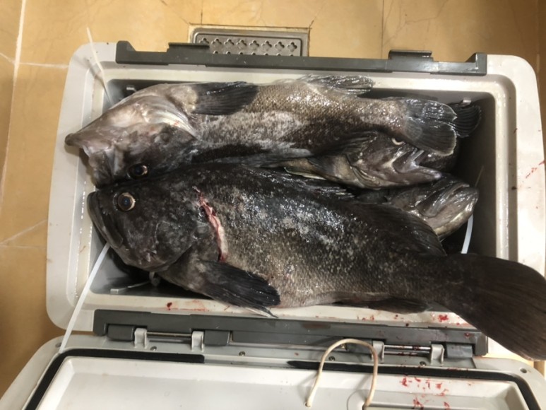 큰게 필요해 ~~~ 9