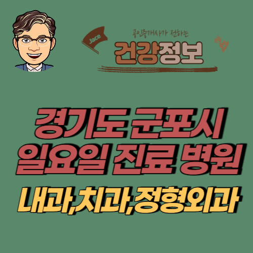 썸네일 경기도 군포시 일요일 진료 병원