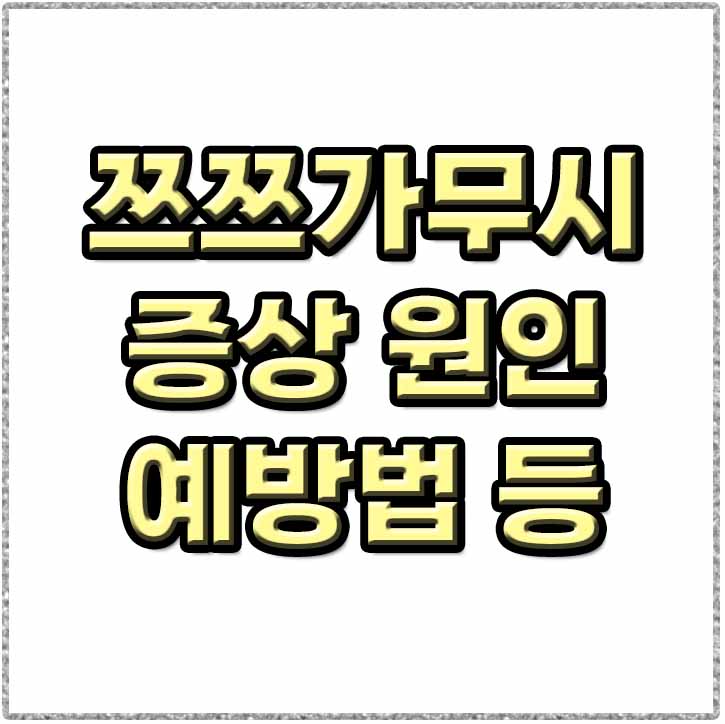  쯔쯔가무시 증상 예방 가을에 유행하는 전염성 질환