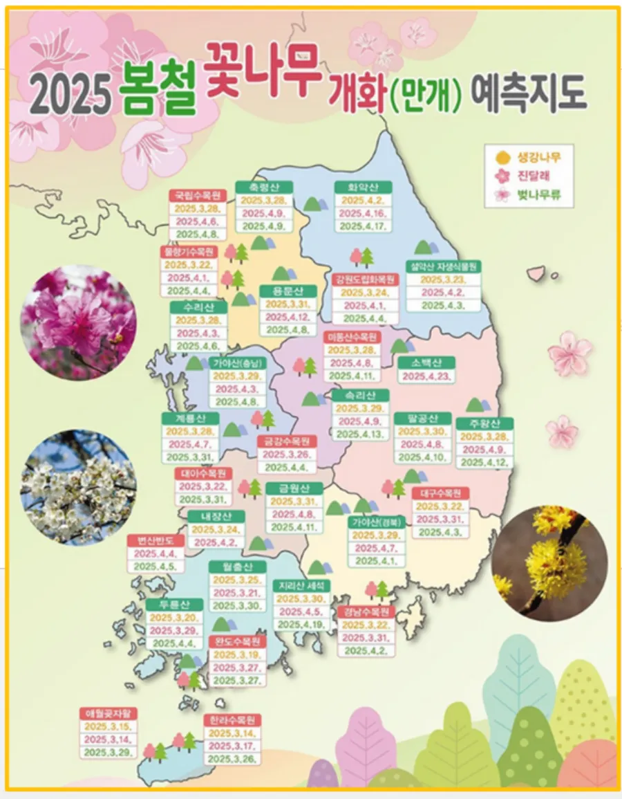 개화 예측 지도 공개