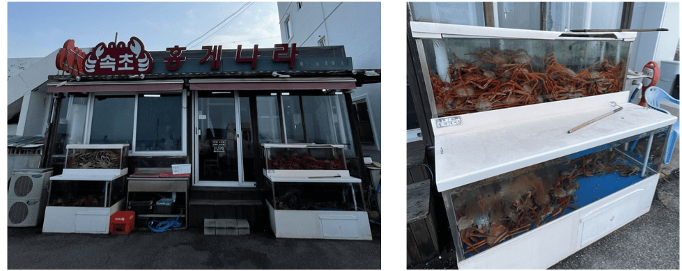 속초-홍게나라-식당-외부