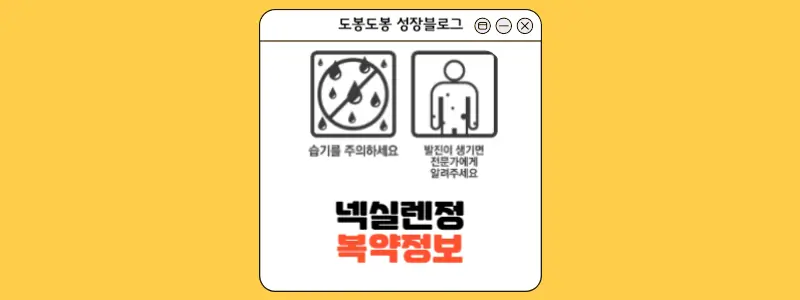 넥실렌정 복약 정보 이미지