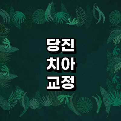 당진시 교정 치과