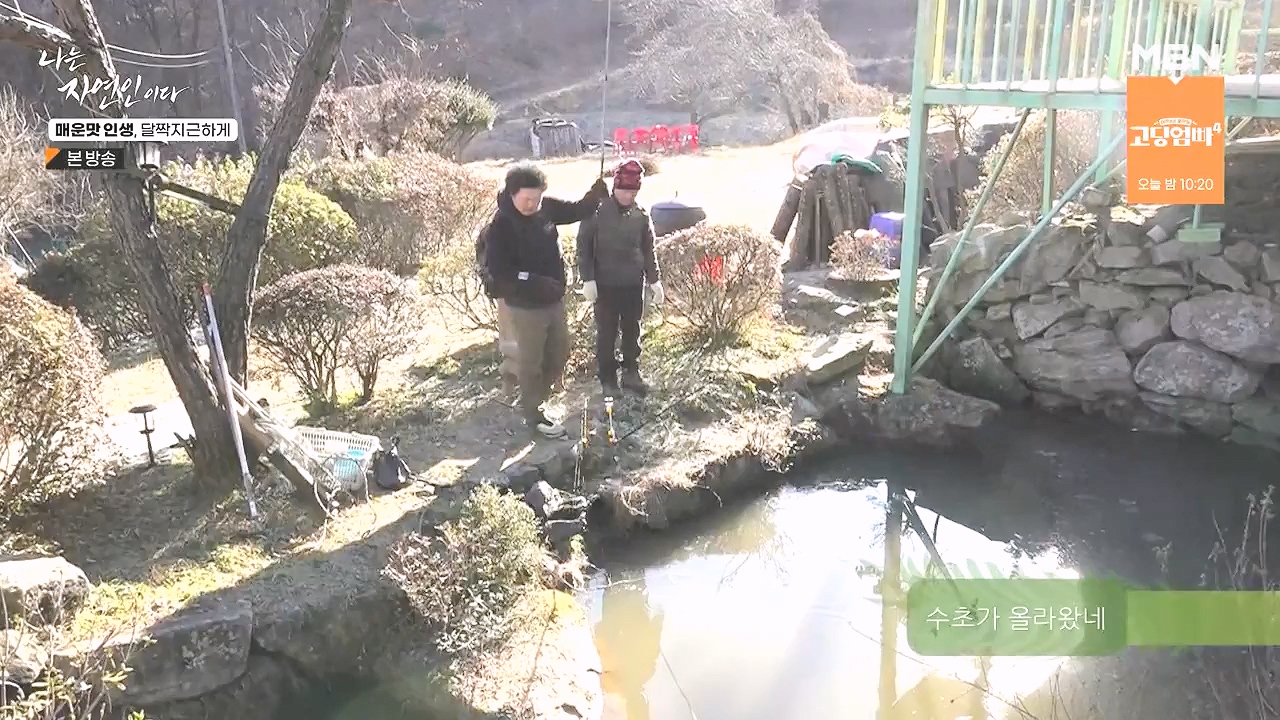 나는 자연인이다.E585.231221p-NEXT.mp4_20231221_200828.799.jpg