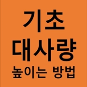 기초대사량높이는방법