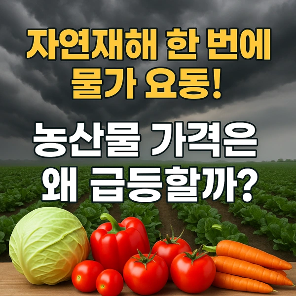 농업경제학 : 자연재해 한 번에 물가 요동! 농산물 가격은 왜 급등할까?